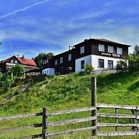 Pension Helene S Mini Pivovarem Kytlice Dış mekan fotoğraf