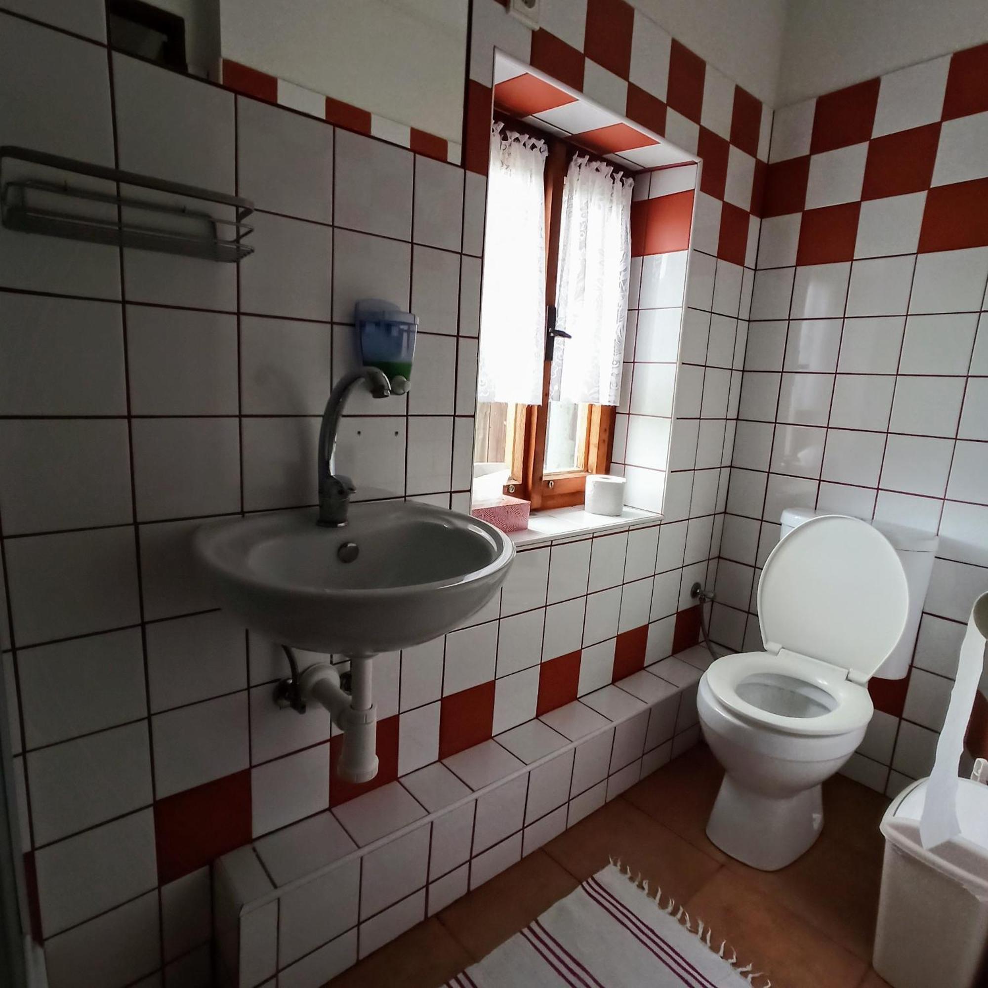 Pension Helene S Mini Pivovarem Kytlice Dış mekan fotoğraf